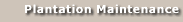 Plantation Maintenance