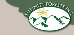 Summitt Forests Inc. - Forestry Contracting