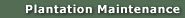 Plantation Maintenance
