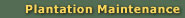 Plantation Maintenance